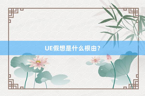 UE假想是什么根由？