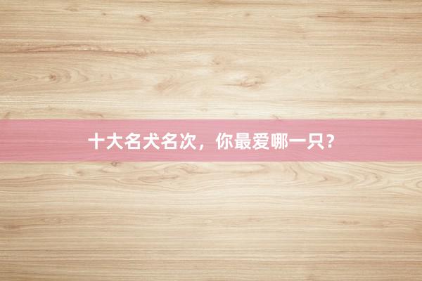 十大名犬名次，你最爱哪一只？